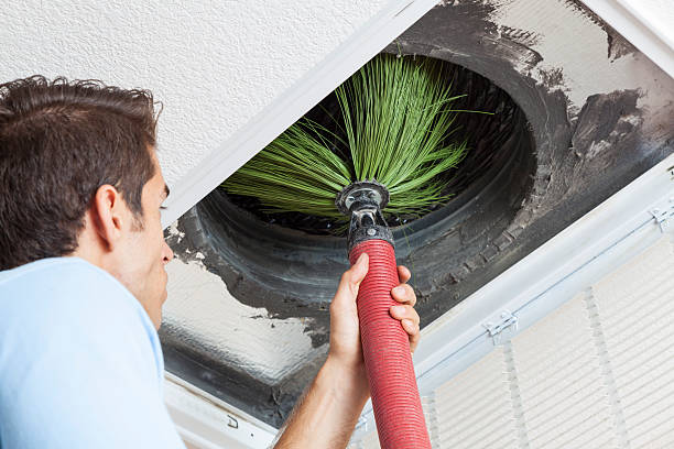  Temple Terrace, FL Airduct Cleaning Pros