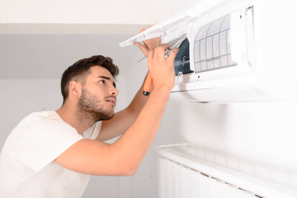 Best Local Air Duct Cleaning Services  in Temple Terrace, FL